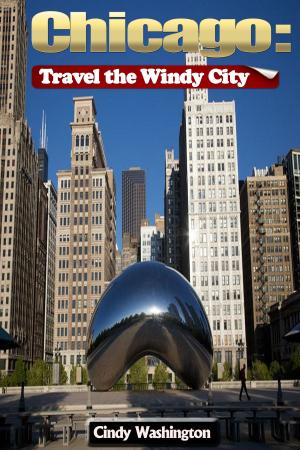 Cover of the book Chicago - Travel the Windy City by Dan Brown