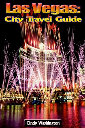 Cover of the book Las Vegas - City Travel Guide by Calvin Barry