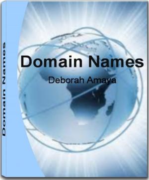 Cover of the book Domain Names by Garrett Howlett