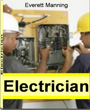 Cover of the book Electrician by Nicolas Sallavuard, Nicolas Vidal, François Roebben, Bruno Guillou