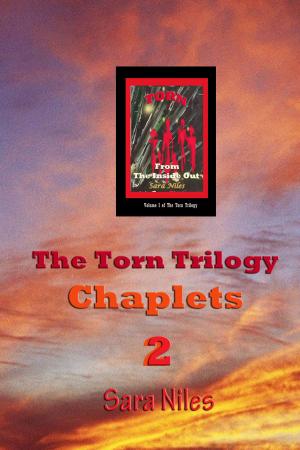 Book cover of The Torn Trilogy Chaplets 2