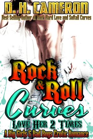 Book cover of Rock & Roll Curves - Love Her 2 Times