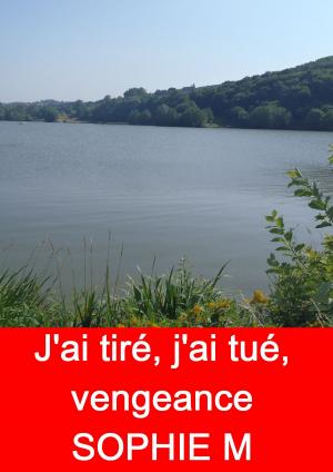 Book cover of J'ai tiré, j'ai tué, vengeance