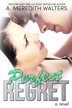 bigCover of the book Perfect Regret by 