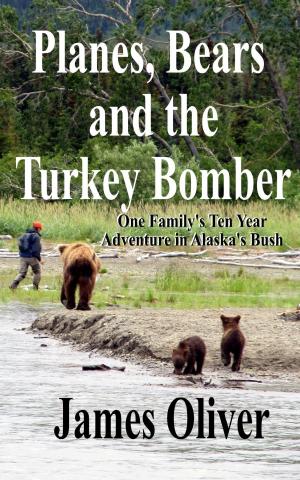 Cover of the book Planes, Bears and the Turkey Bomber by Kelly Edwards