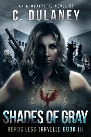 Cover of the book Shades of Gray (Roads Less Traveled Book 3) by Jacqueline Druga