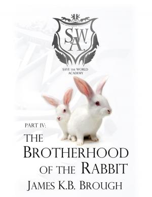 Book cover of The Brotherhood of the Rabbit