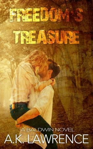 Cover of the book Freedom's Treasure by Cherie Marks, Skeleton Key