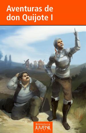 Book cover of Aventuras de Don Quijote I