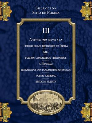 Cover of the book Apuntes para servir a la historia de los defensores de Puebla que fueron conducidos prisioneros a Francia; enriquecidos con documentos auténticos por el general Epitacio Huerta by Judah Lyons