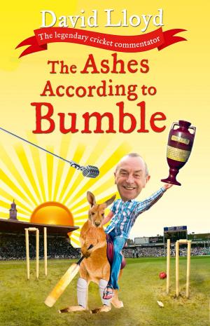 Cover of the book The Ashes According to Bumble by Richard Daly