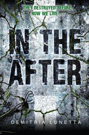Cover of the book In the After by Michelle Zink