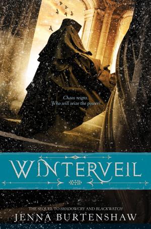 Cover of the book Winterveil by Herman Parish