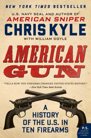 Book cover of American Gun