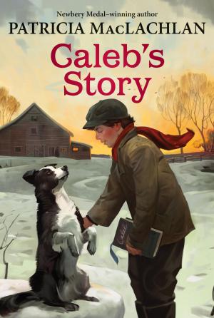 Book cover of Caleb's Story