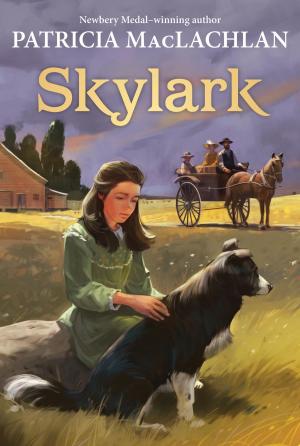 Cover of the book Skylark by James Frey