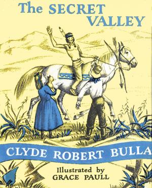 Cover of the book The Secret Valley by J a Mawter