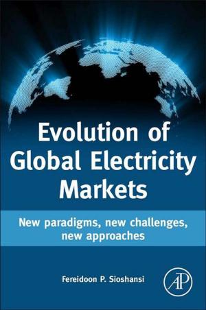 Cover of the book Evolution of Global Electricity Markets by Dietmar Mobius, Reinhard Miller