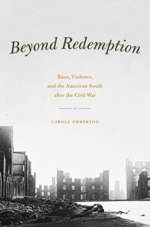 Cover of the book Beyond Redemption by Connie Voisine