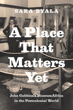 Cover of the book A Place That Matters Yet by Rachael Z. DeLue