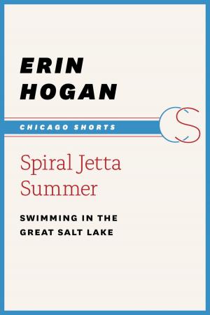 Cover of the book Spiral Jetta Summer by Jim Endersby