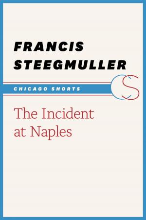 bigCover of the book The Incident at Naples by 