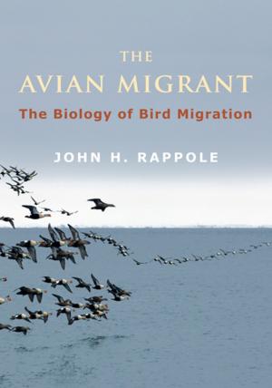 Cover of the book The Avian Migrant by Daniel Herwitz
