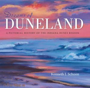 Cover of the book Dreams of Duneland by Brian Holmes, Min Xie