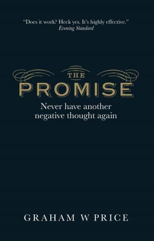 Cover of the book The Promise by Lauren Dugan