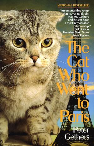 bigCover of the book The Cat Who Went to Paris by 