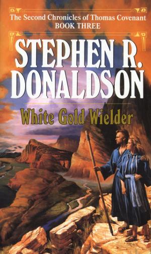 Cover of the book White Gold Wielder by Elizabeth Cox