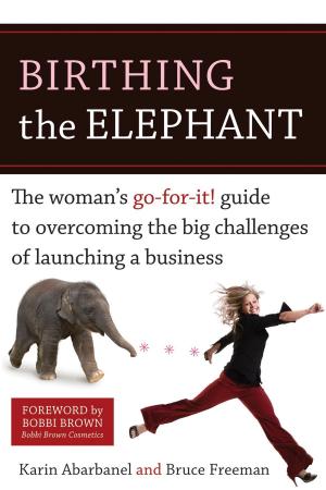 Book cover of Birthing the Elephant