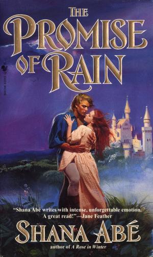 Cover of the book The Promise of Rain by Barbara Hambly