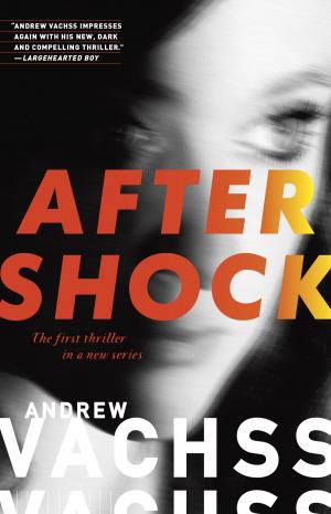 Cover of the book Aftershock by Austin Grossman