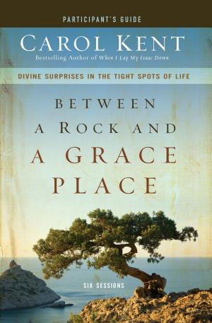 Book cover of Between a Rock and a Grace Place Participant's Guide