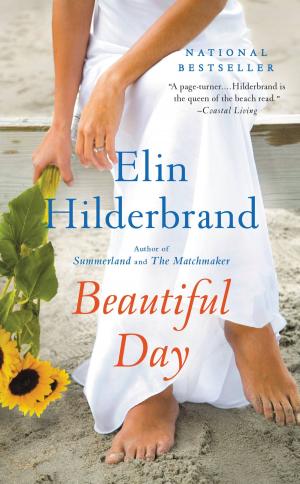 Cover of the book Beautiful Day by Liz Ellor