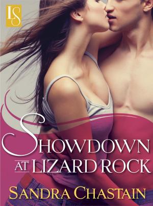 Cover of the book Showdown at Lizard Rock by Jay Stout