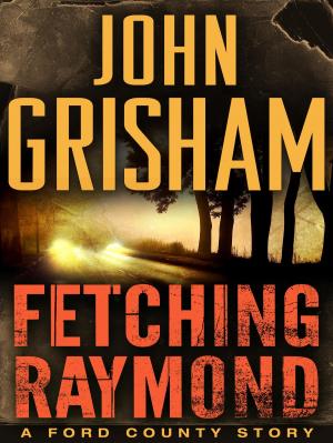 Cover of the book Fetching Raymond: A Story from the Ford County Collection by Greg Bear