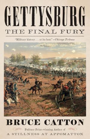 Cover of the book Gettysburg: The Final Fury by Mark Leyner
