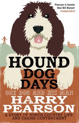 Cover of the book Hound Dog Days by Anja de Jager