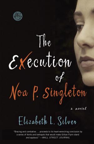 Cover of the book The Execution of Noa P. Singleton by Anastasia Volnaya