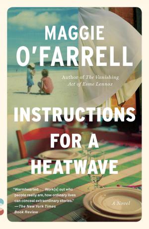 Cover of the book Instructions for a Heatwave by Nora Ephron
