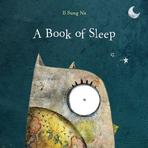 Cover of the book A Book of Sleep by Julianna Baggott
