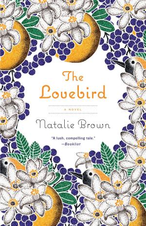 Cover of the book The Lovebird by Daniel J. Boorstin