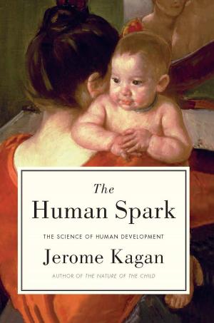 Cover of the book The Human Spark by David Berlinski
