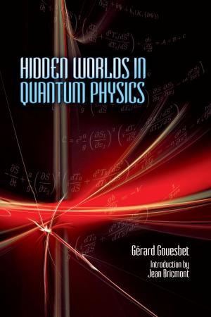 Cover of the book Hidden Worlds in Quantum Physics by Jeffrey Steinfeld