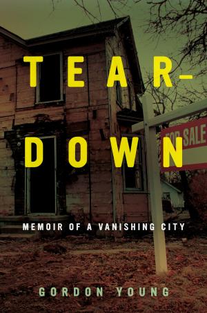 Cover of the book Teardown by Lisa Yoneyama