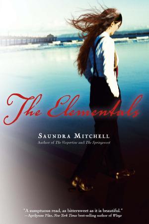 Cover of the book The Elementals by Pegi Deitz Shea