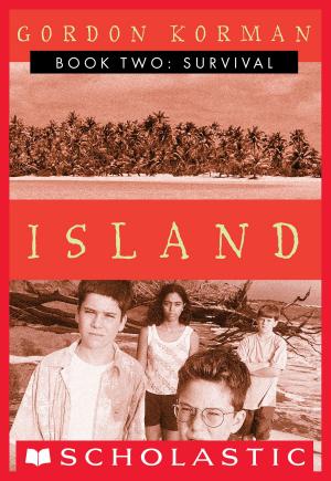 Cover of the book Island II: Survival by Andrew Joyner