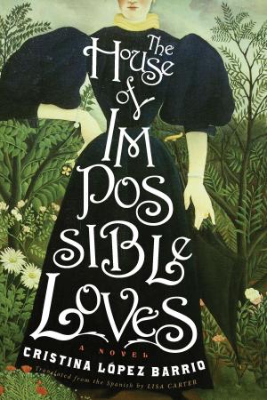 Cover of the book The House of Impossible Loves by Paul Davies